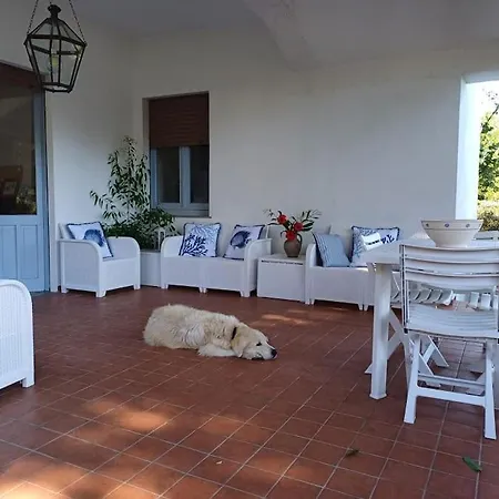 Villa Sul Mare A Carloforte (Isola di San Pietro)